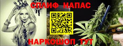 молекула духа Бердск