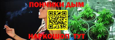 молекула духа Бердск